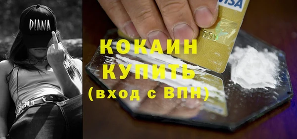 гашик Мегион
